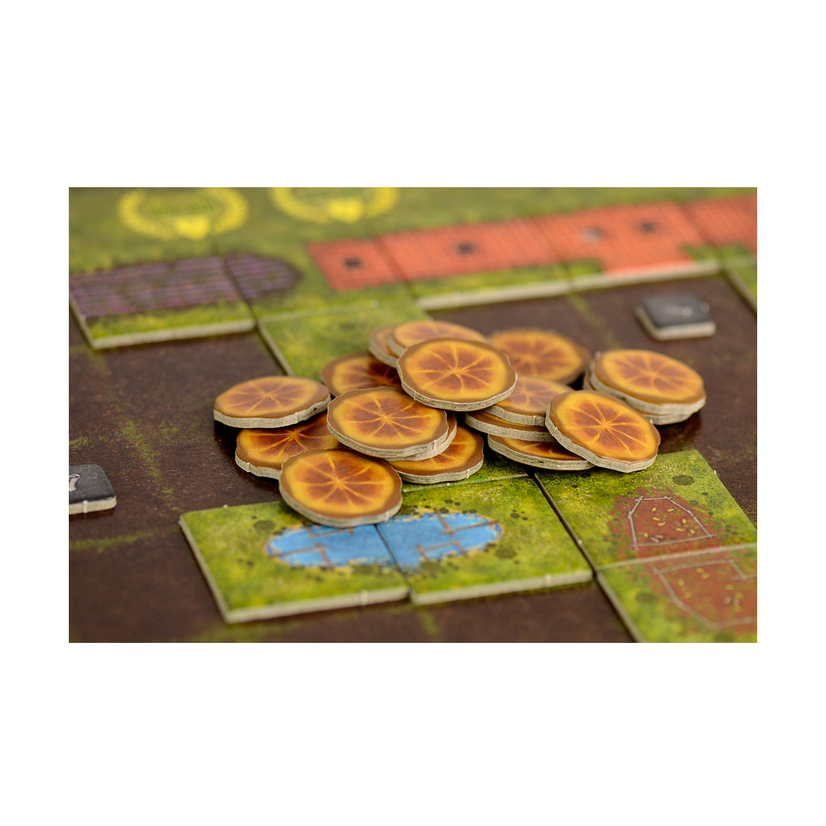 Carpe Diem  - adicional_1